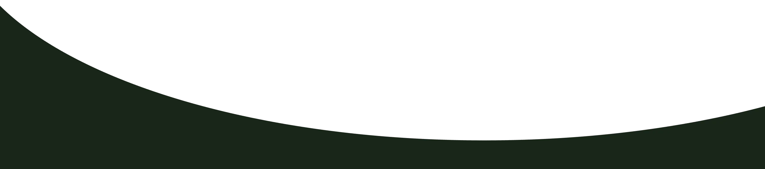 Website Curve Evergreen-01